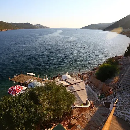 Aga Kaş