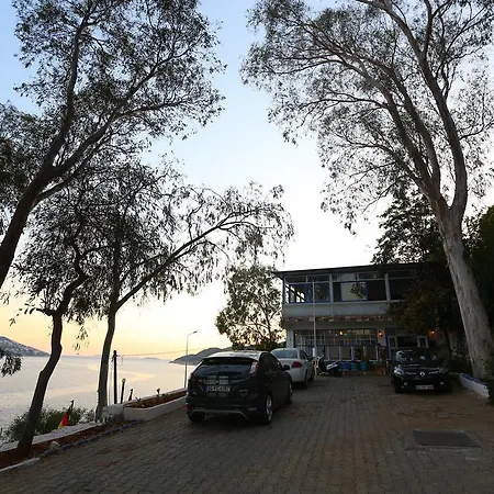 Aga * Kaş