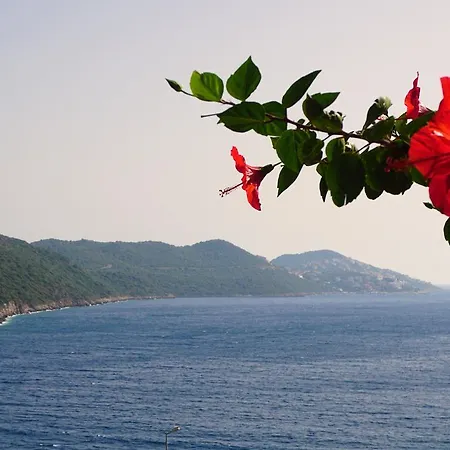 Motel Aga Kaş